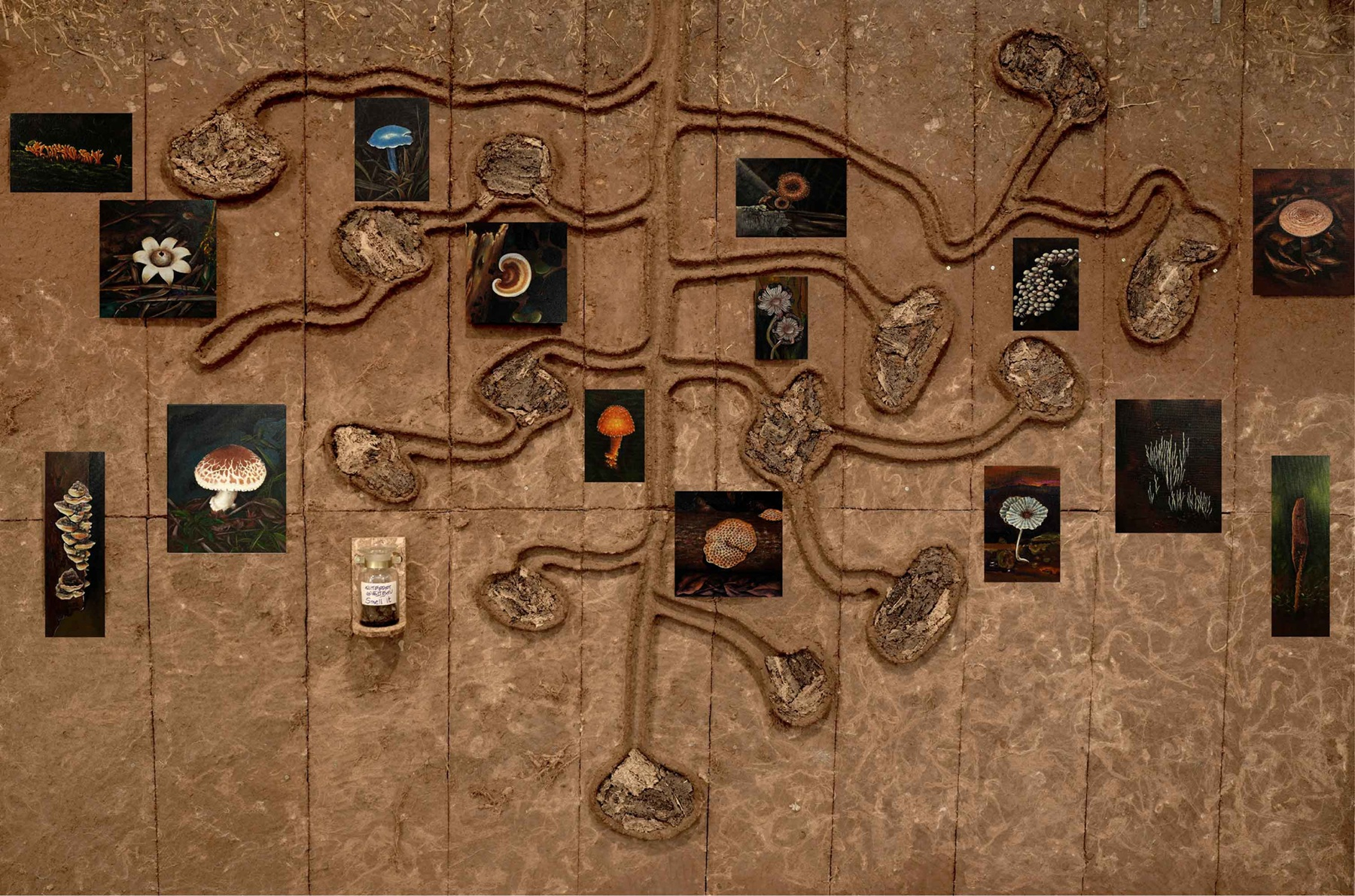 Community of Composite